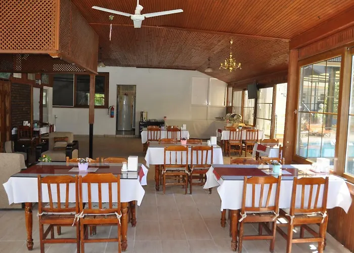 Mese & 올루데니스