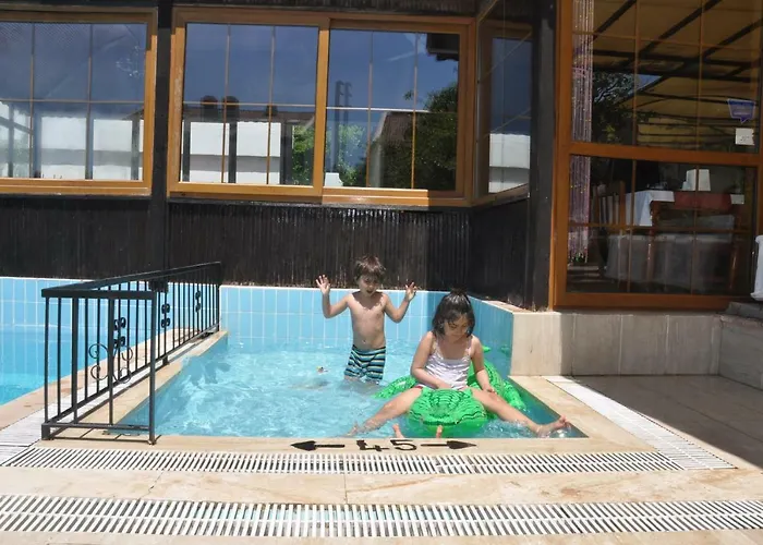 Mese & 올루데니스